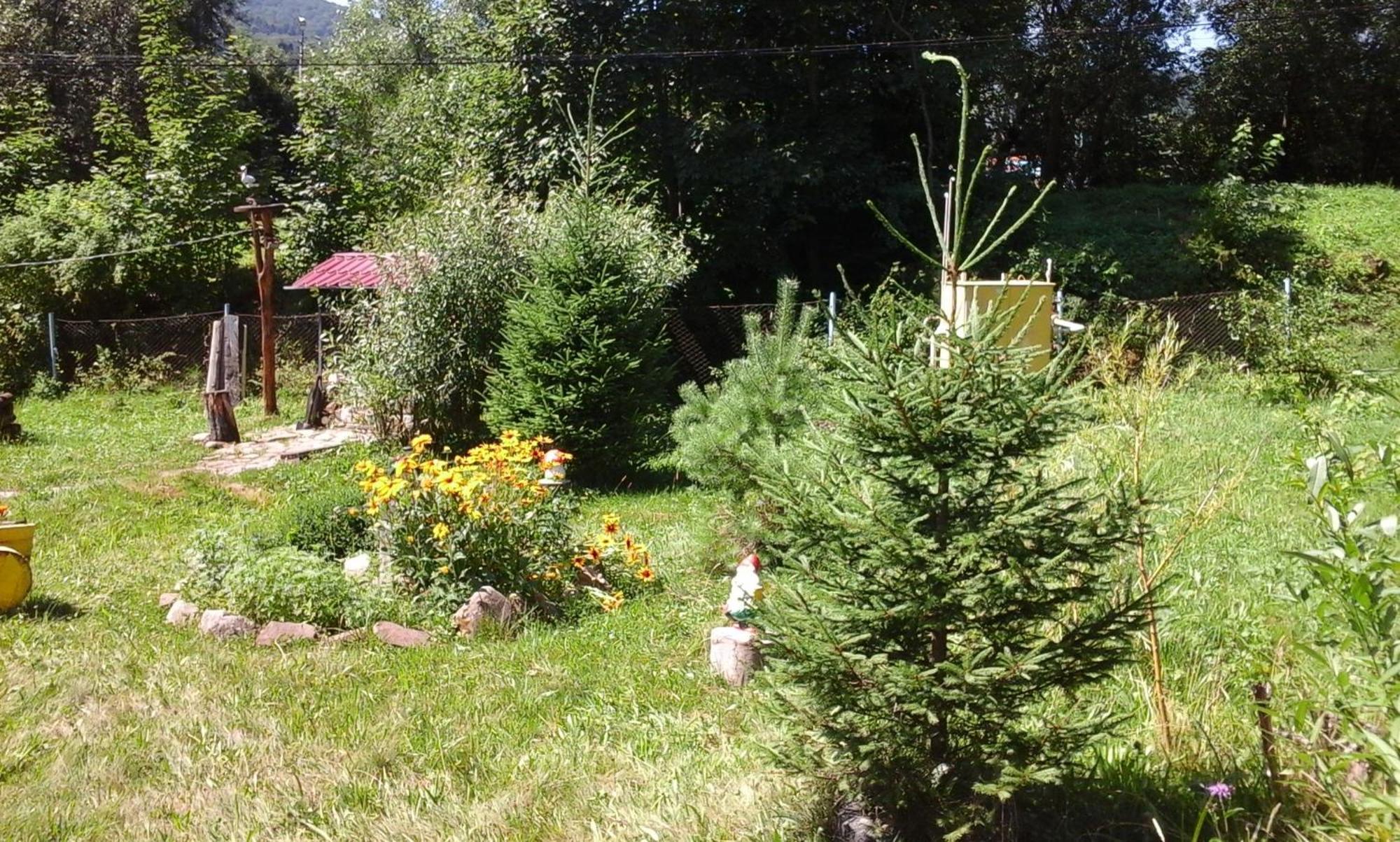 U Pana Ivana Jaremče Camera foto